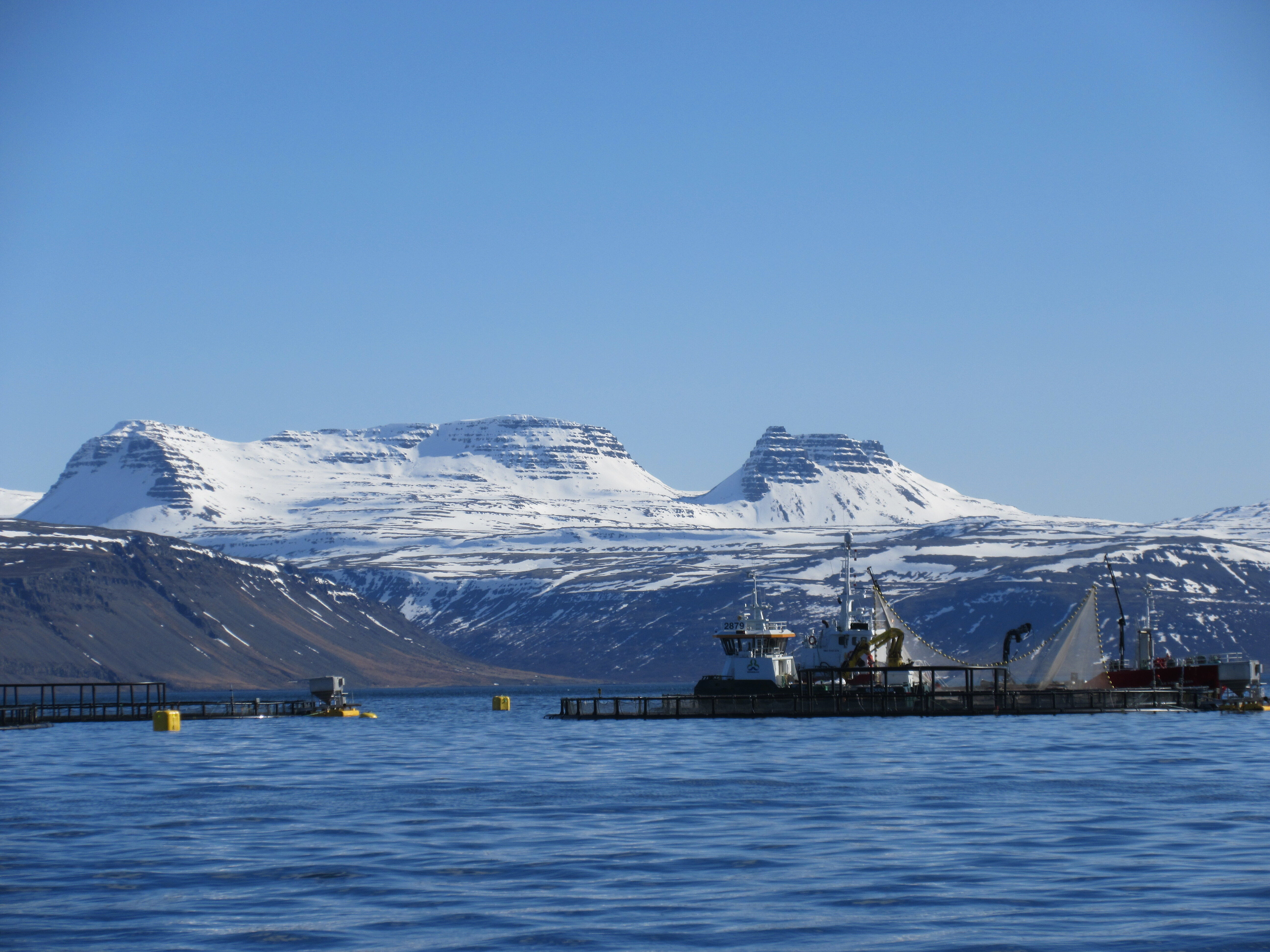 Fiskeldi í Arnarfirði