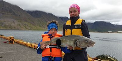 Dorgveiði