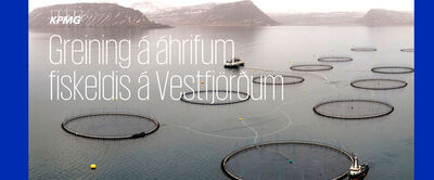 Greining á áhrifum fiskeldis á Vestfjörðum