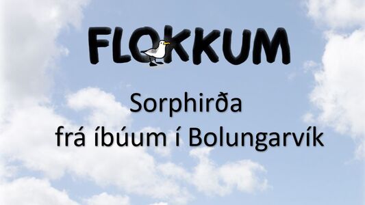 Flokkum