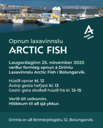 Drimla_AF_staerri